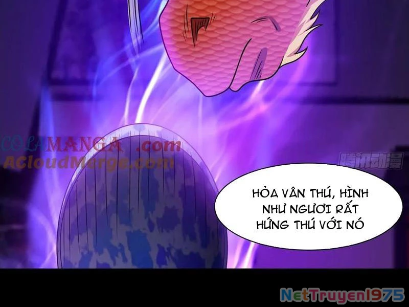 Ngự Thần Trùng Sinh Chapter 125 - Trang 3