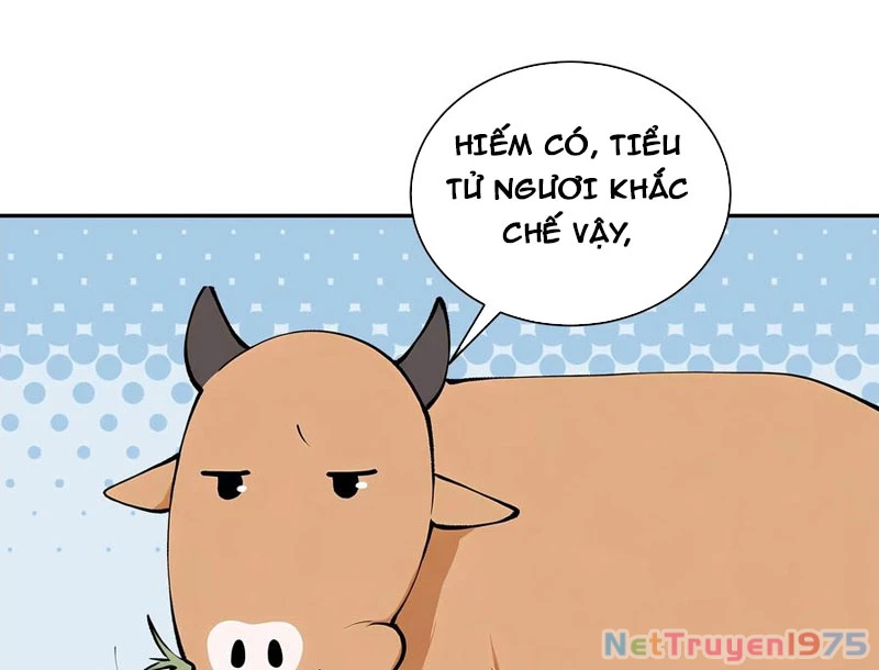 Bách Thê Phổ: Thánh nữ đều gọi ta là phu quân Chapter 52 - Trang 3