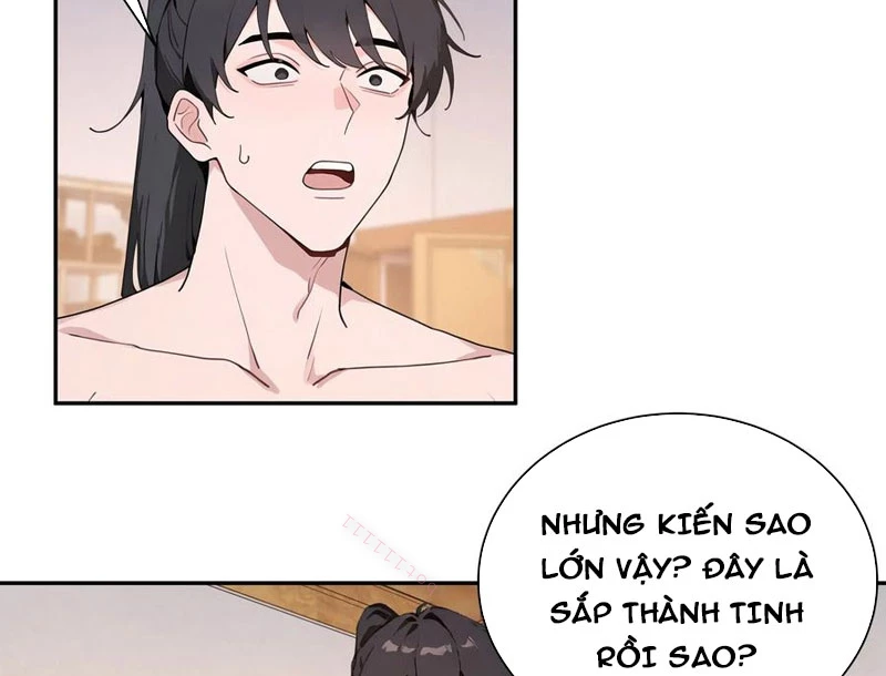 Bách Thê Phổ: Thánh nữ đều gọi ta là phu quân Chapter 52 - Trang 3