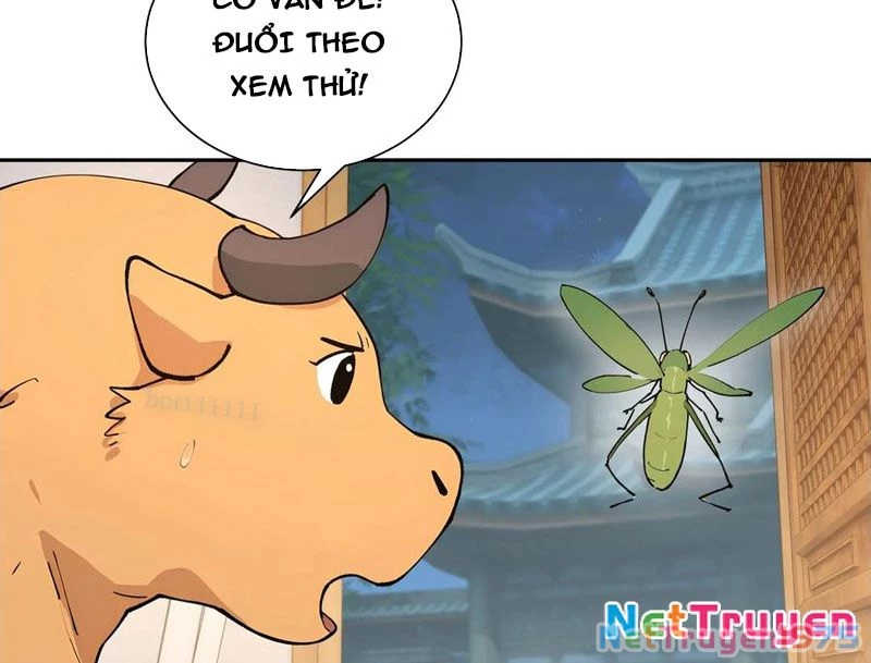 Bách Thê Phổ: Thánh nữ đều gọi ta là phu quân Chapter 52 - Trang 3