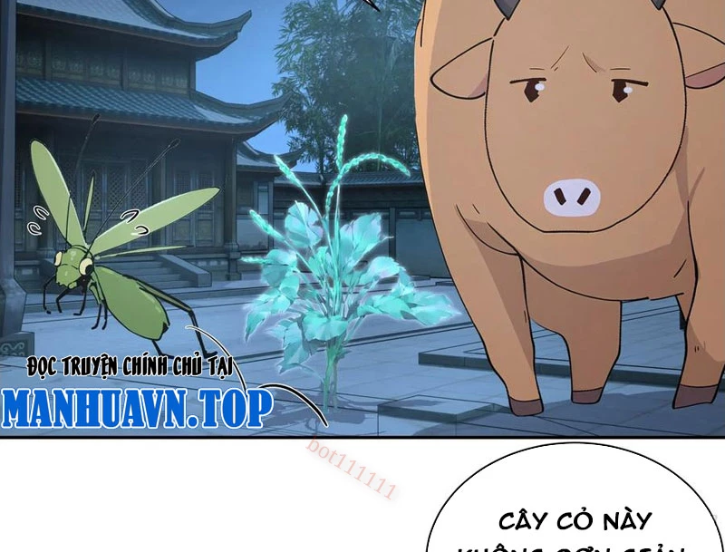 Bách Thê Phổ: Thánh nữ đều gọi ta là phu quân Chapter 52 - Trang 3