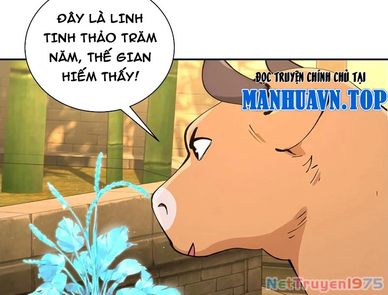 Bách Thê Phổ: Thánh nữ đều gọi ta là phu quân Chapter 52 - Trang 3