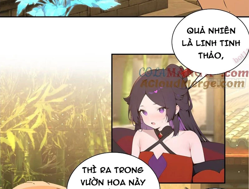 Bách Thê Phổ: Thánh nữ đều gọi ta là phu quân Chapter 52 - Trang 3