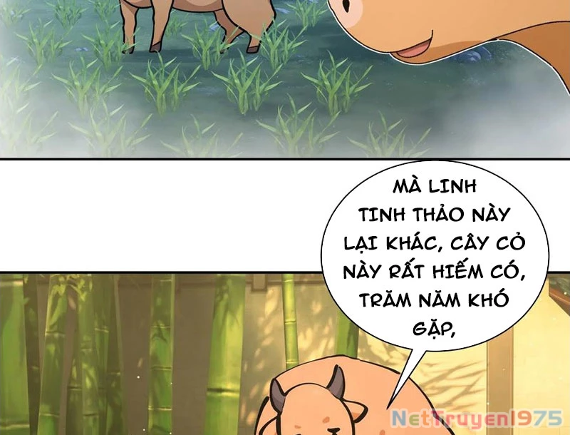 Bách Thê Phổ: Thánh nữ đều gọi ta là phu quân Chapter 52 - Trang 3