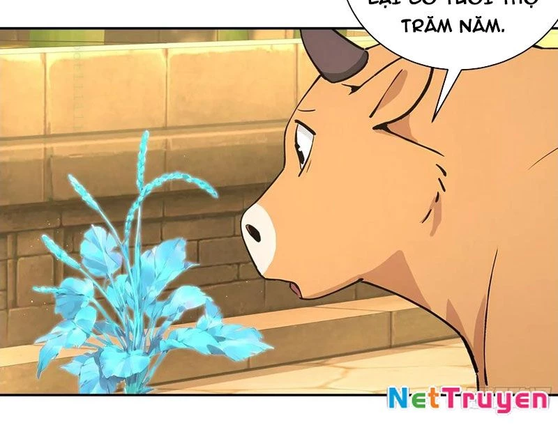 Bách Thê Phổ: Thánh nữ đều gọi ta là phu quân Chapter 52 - Trang 3