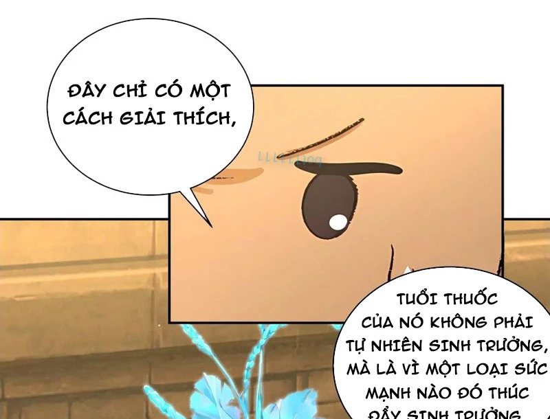 Bách Thê Phổ: Thánh nữ đều gọi ta là phu quân Chapter 52 - Trang 3