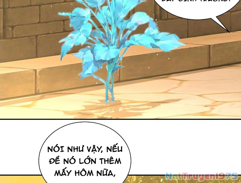 Bách Thê Phổ: Thánh nữ đều gọi ta là phu quân Chapter 52 - Trang 3