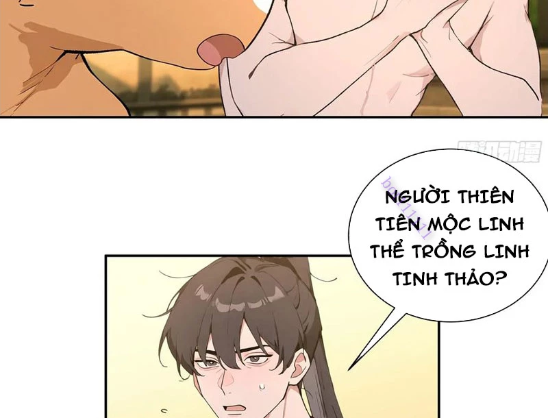 Bách Thê Phổ: Thánh nữ đều gọi ta là phu quân Chapter 52 - Trang 3