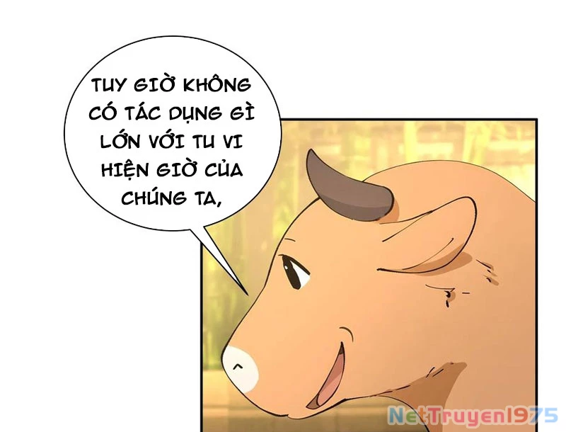 Bách Thê Phổ: Thánh nữ đều gọi ta là phu quân Chapter 52 - Trang 3