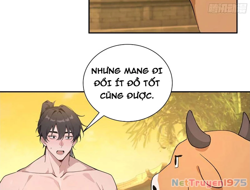 Bách Thê Phổ: Thánh nữ đều gọi ta là phu quân Chapter 52 - Trang 3