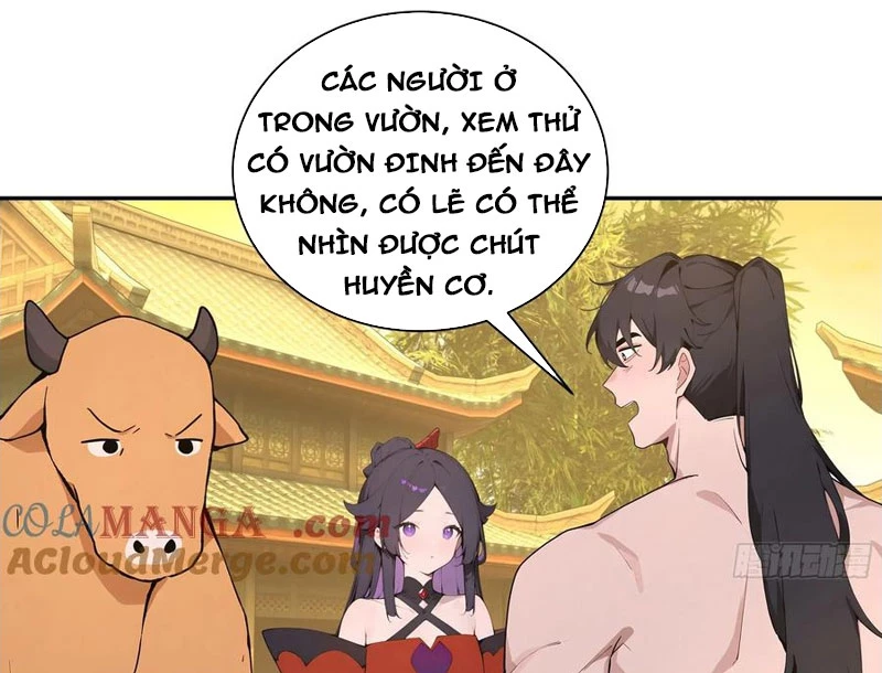 Bách Thê Phổ: Thánh nữ đều gọi ta là phu quân Chapter 52 - Trang 3