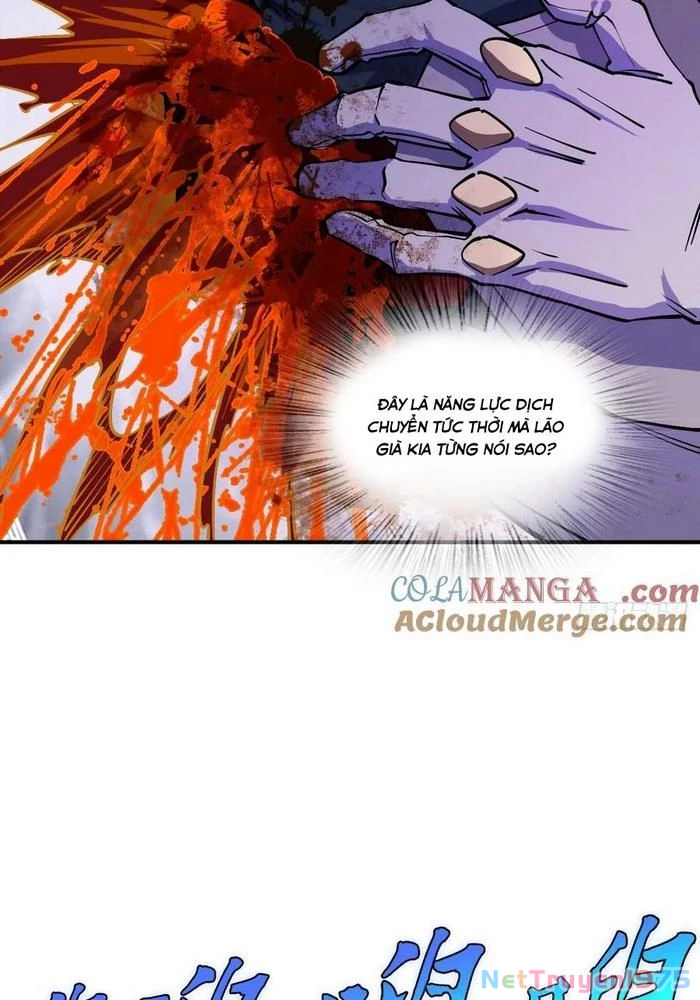 Xuyên Không Thành Chim Chapter 308 - Trang 3