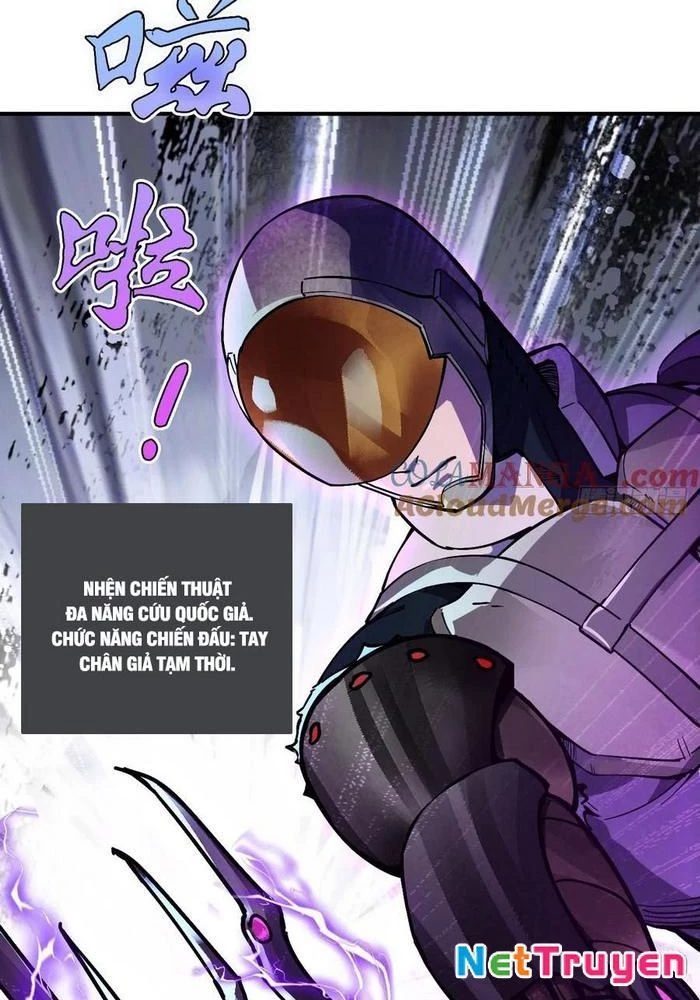 Xuyên Không Thành Chim Chapter 308 - Trang 3