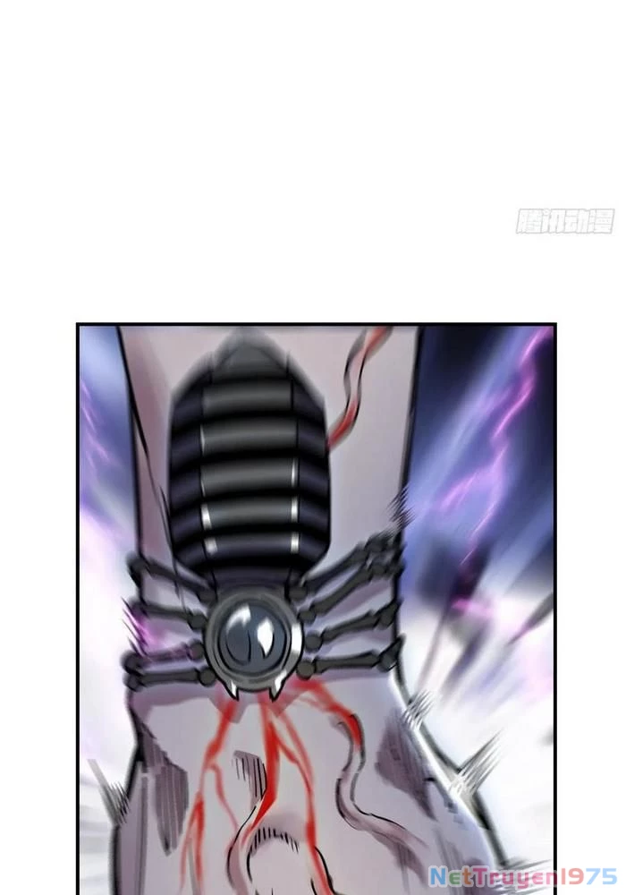 Xuyên Không Thành Chim Chapter 308 - Trang 3