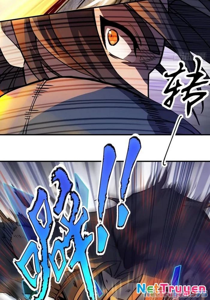Xuyên Không Thành Chim Chapter 308 - Trang 3