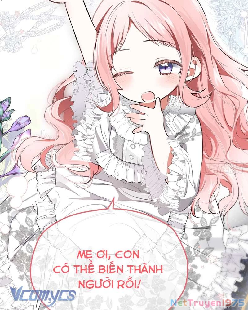Cô Ấy Sẽ Thuần Hóa Các Anh Hùng Chapter 0 - Trang 3