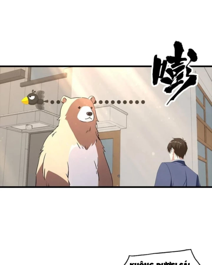 Đô Thị Thánh Thủ: Ta Là Y Võ Đỉnh Phong Chapter 124 - Trang 3