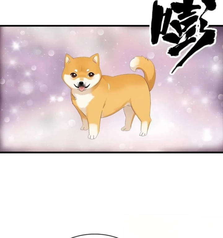 Đô Thị Thánh Thủ: Ta Là Y Võ Đỉnh Phong Chapter 124 - Trang 3