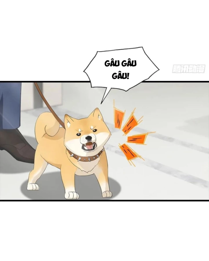 Đô Thị Thánh Thủ: Ta Là Y Võ Đỉnh Phong Chapter 124 - Trang 3