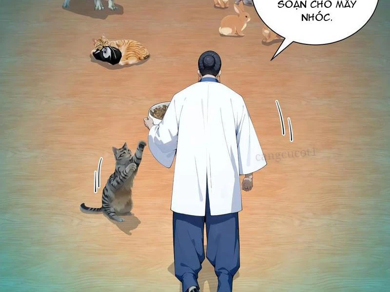 Vô Địch Bắt Đầu Từ Trúc Cơ Chapter 70 - Trang 3
