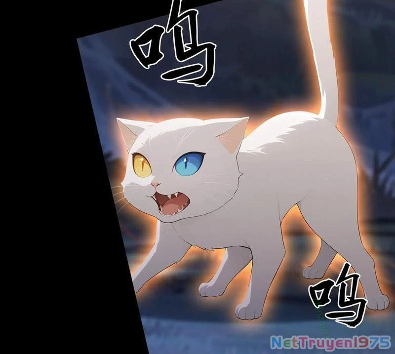 Ảo Ma! Ta Mở Lớp Huấn Luyện Nữ Đế! Chapter 99 - Trang 3