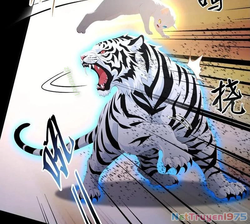 Ảo Ma! Ta Mở Lớp Huấn Luyện Nữ Đế! Chapter 99 - Trang 3