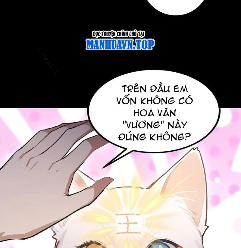 Ảo Ma! Ta Mở Lớp Huấn Luyện Nữ Đế! Chapter 99 - Trang 3