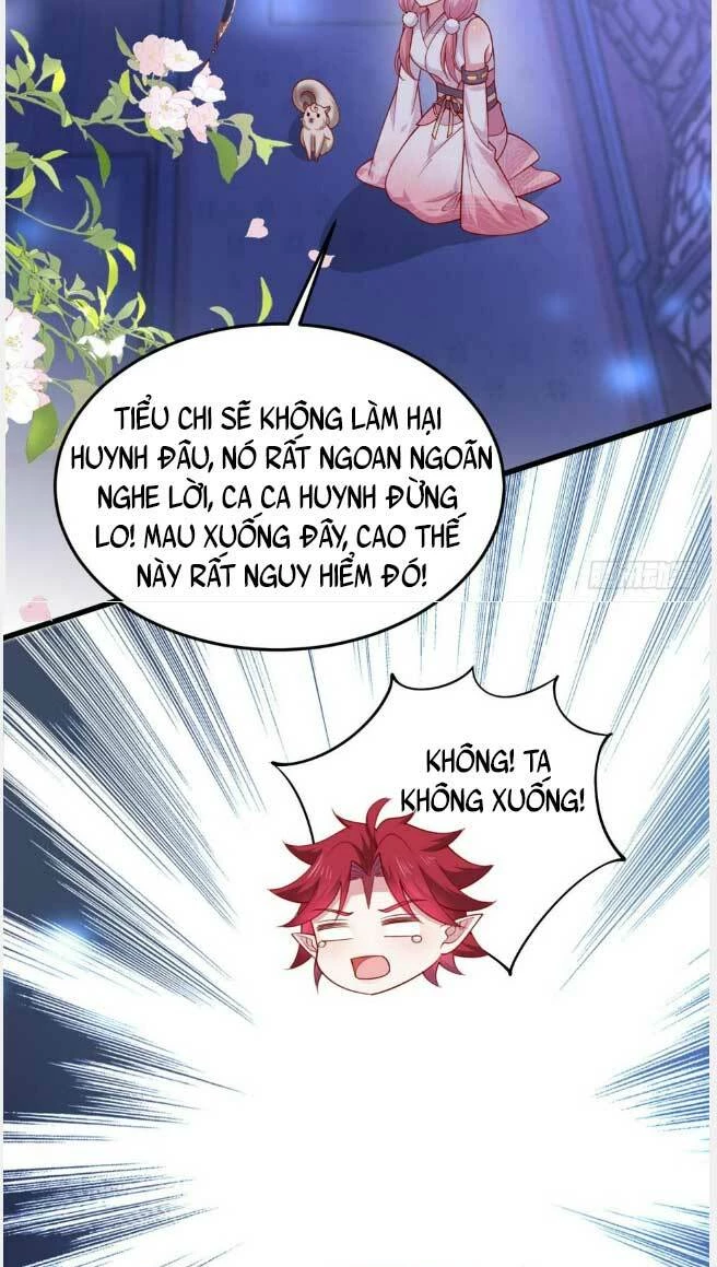 Chi Tôn Đồng Thuật Sư: Tuyệt Thế Đại Tiểu Thư Chapter 354 - Trang 4