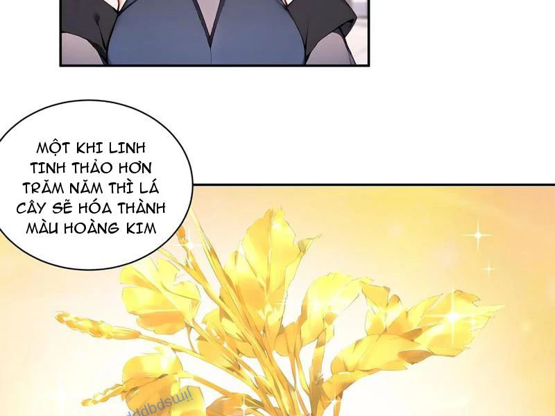 Bách Thê Phổ: Thánh nữ đều gọi ta là phu quân Chapter 55 - Trang 3