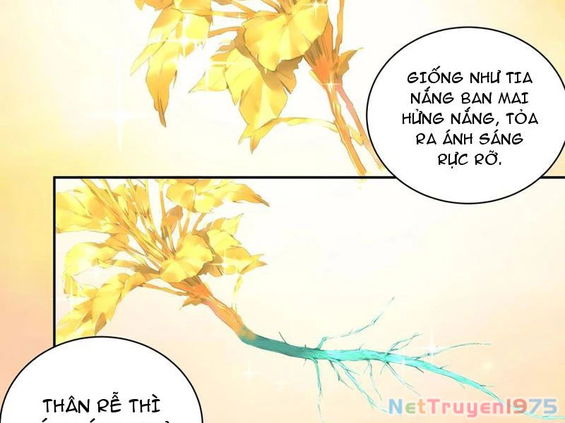 Bách Thê Phổ: Thánh nữ đều gọi ta là phu quân Chapter 55 - Trang 3