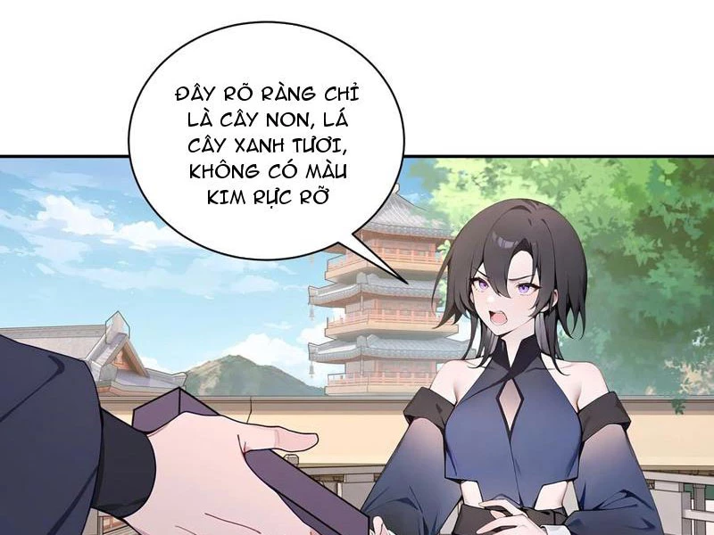 Bách Thê Phổ: Thánh nữ đều gọi ta là phu quân Chapter 55 - Trang 3