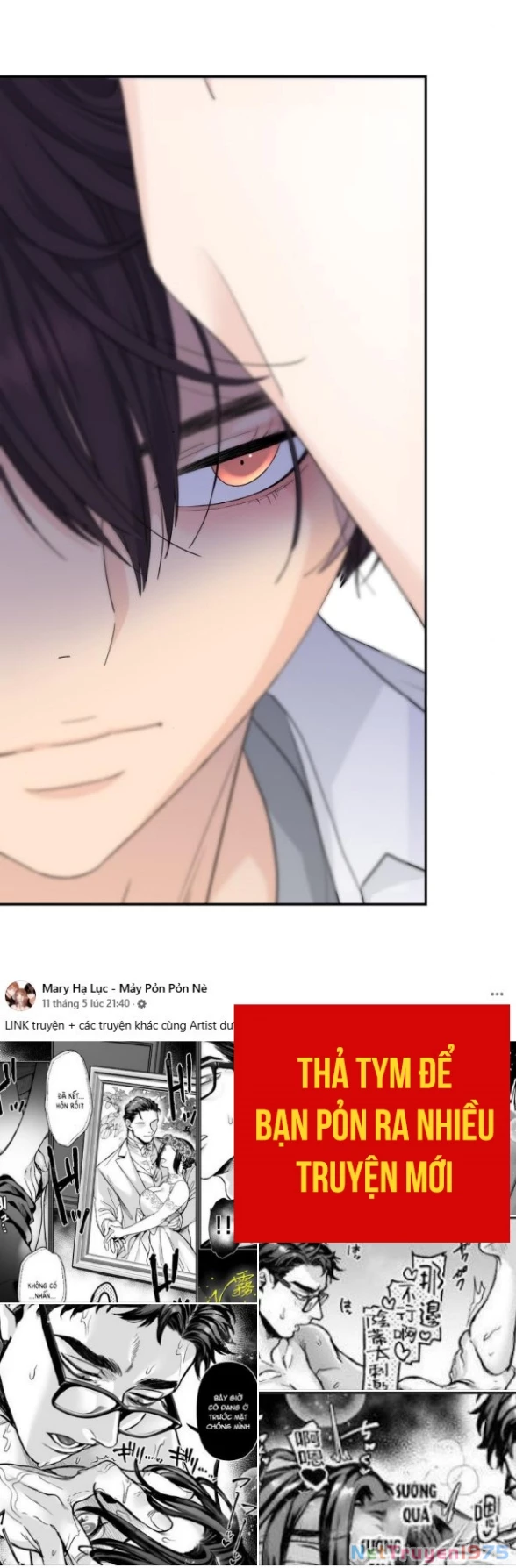 Sam Yi Tái Sinh Chapter 49.1 - Next Chapter 49.2