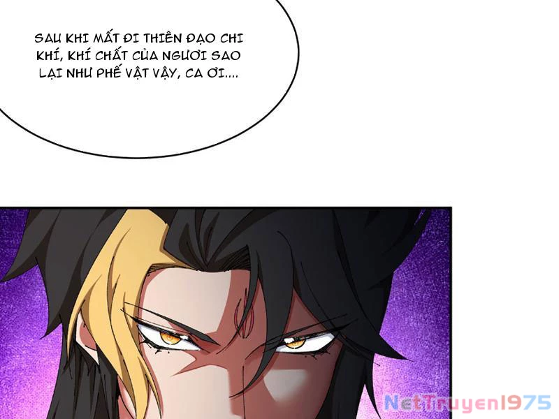 Hóa Ra Các Cô Ấy Mới Là Nhân Vật Chính Chapter 16 - Trang 3
