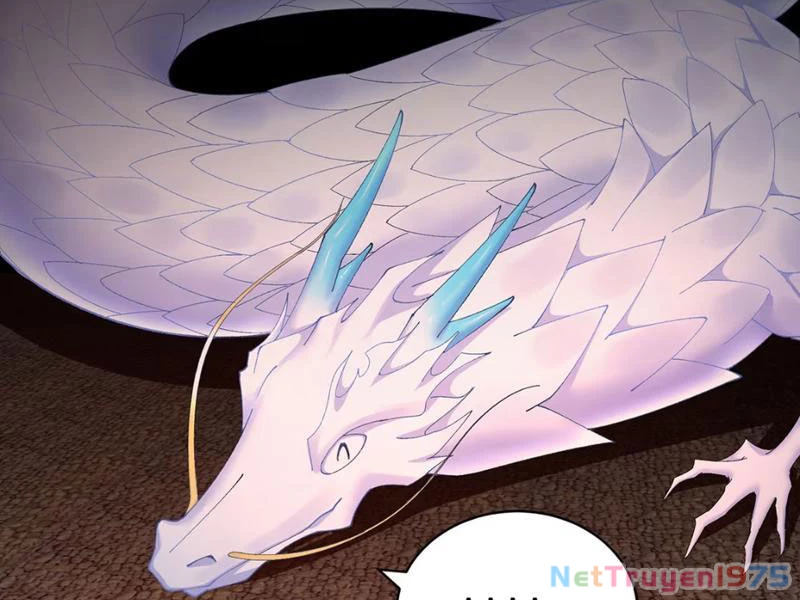 Hóa Ra Các Cô Ấy Mới Là Nhân Vật Chính Chapter 34 - Trang 3