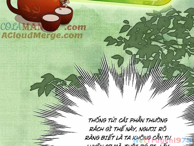 Gặp Mạnh Thì Mạnh, Ta Tu Vi Vô Thượng Hạn Chapter 44 - Trang 2