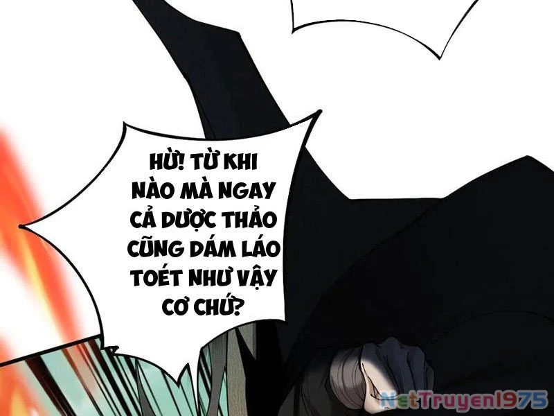 Gặp Mạnh Thì Mạnh, Ta Tu Vi Vô Thượng Hạn Chapter 44 - Trang 2