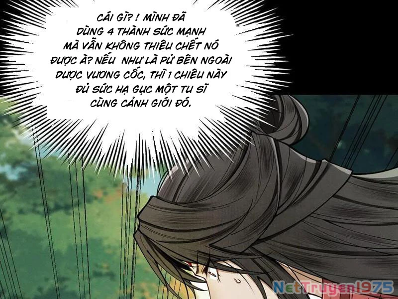 Gặp Mạnh Thì Mạnh, Ta Tu Vi Vô Thượng Hạn Chapter 44 - Trang 2