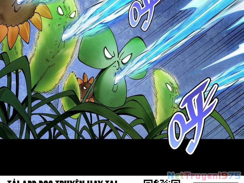 Gặp Mạnh Thì Mạnh, Ta Tu Vi Vô Thượng Hạn Chapter 44 - Trang 2