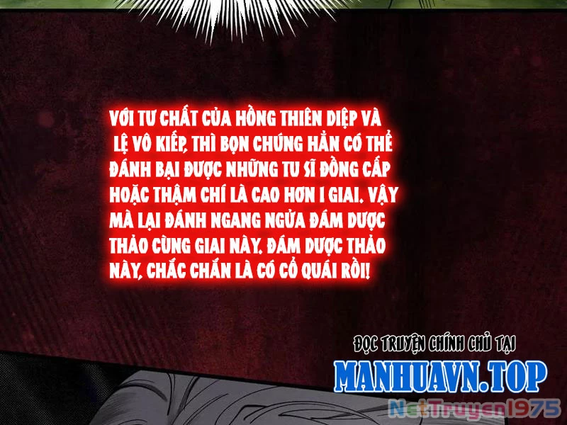Gặp Mạnh Thì Mạnh, Ta Tu Vi Vô Thượng Hạn Chapter 44 - Trang 2