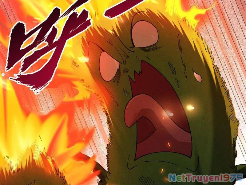 Gặp Mạnh Thì Mạnh, Ta Tu Vi Vô Thượng Hạn Chapter 44 - Trang 2