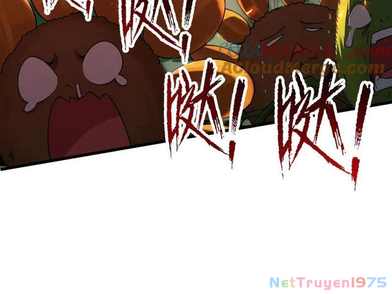 Gặp Mạnh Thì Mạnh, Ta Tu Vi Vô Thượng Hạn Chapter 44 - Trang 2