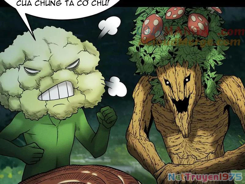 Gặp Mạnh Thì Mạnh, Ta Tu Vi Vô Thượng Hạn Chapter 44 - Trang 2