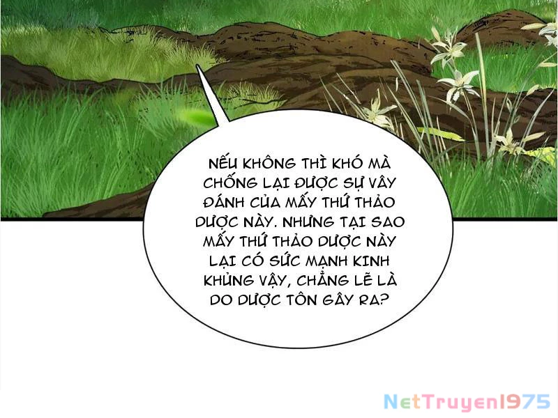 Gặp Mạnh Thì Mạnh, Ta Tu Vi Vô Thượng Hạn Chapter 45 - Trang 2