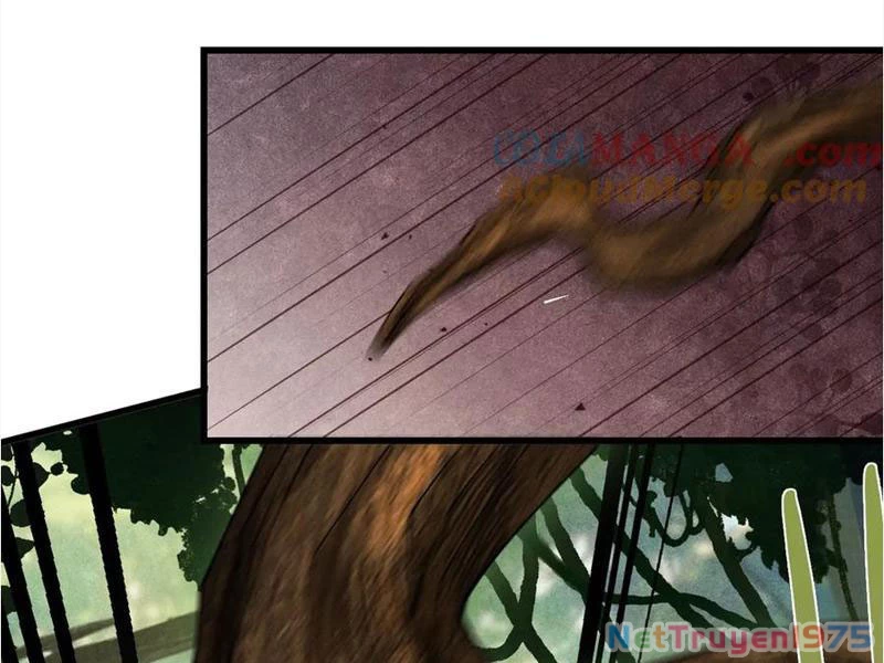 Gặp Mạnh Thì Mạnh, Ta Tu Vi Vô Thượng Hạn Chapter 45 - Trang 2