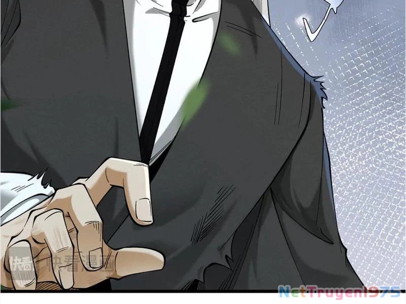 Gặp Mạnh Thì Mạnh, Ta Tu Vi Vô Thượng Hạn Chapter 45 - Trang 2