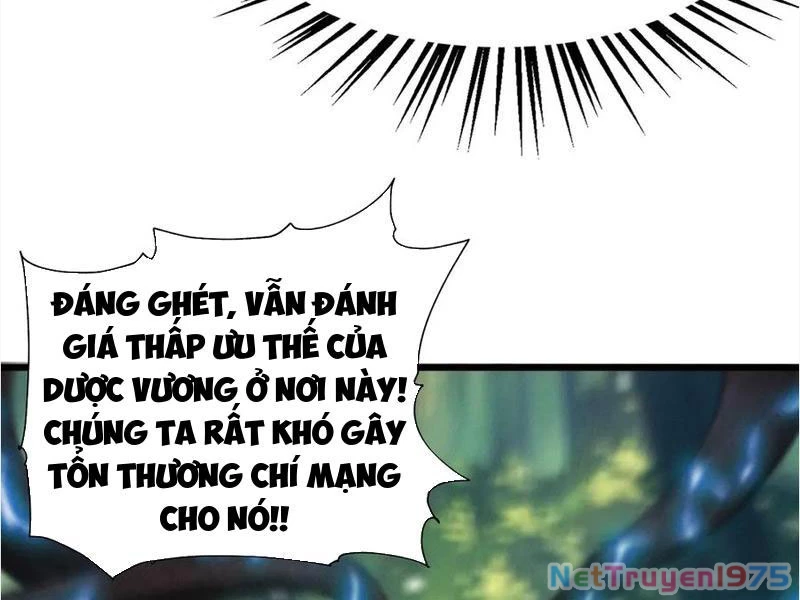 Gặp Mạnh Thì Mạnh, Ta Tu Vi Vô Thượng Hạn Chapter 45 - Trang 2