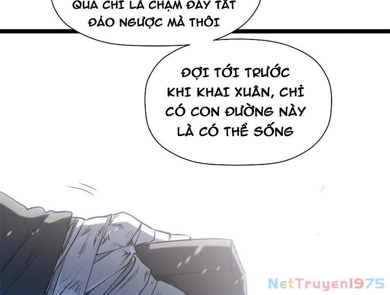 Đỉnh Cấp Khí Vận, Lặng Lẽ Tu Luyện Ngàn Năm Chapter 217 - Trang 2
