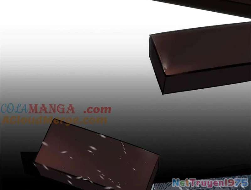 Đỉnh Cấp Khí Vận, Lặng Lẽ Tu Luyện Ngàn Năm Chapter 217 - Trang 2
