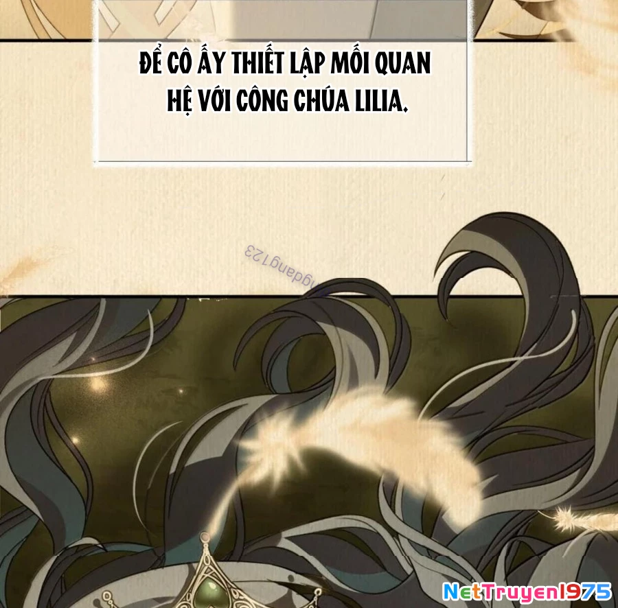 Vượt Cấp Xuyên Không, Tại Sao Tôi Lại Trở Thành Tiểu Thư Tu Sĩ? Chapter 36 - Trang 3