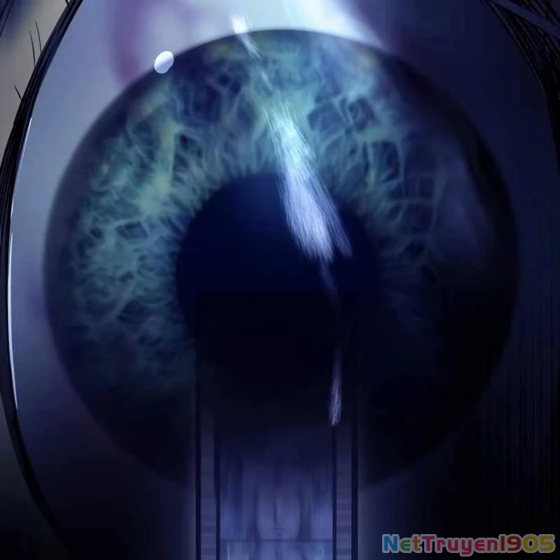 Sát Thủ Áo Đỏ Chapter 9 - Trang 3